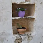Renovated Old Traditional House *