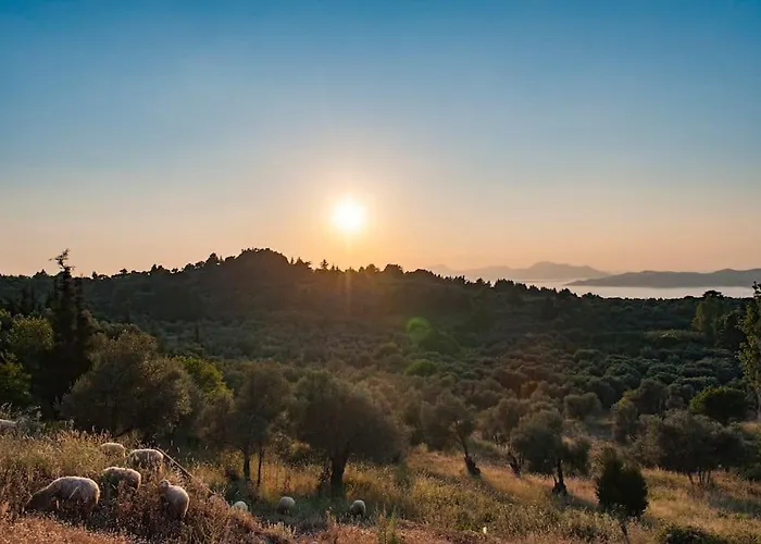 Renovated Old Traditional House Tatil Evi Agios Dimitrios (Kos)