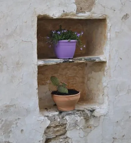 Renovated Old Traditional House *