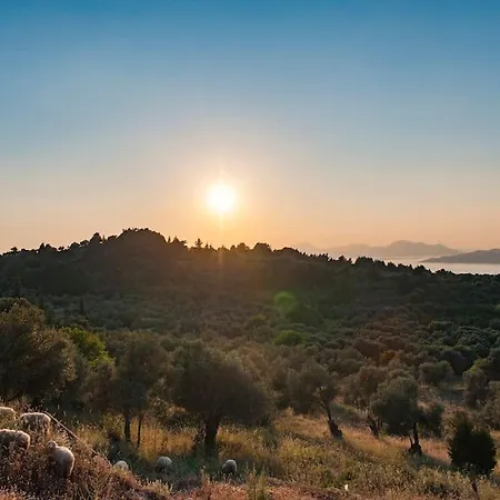 Renovated Old Traditional House Дом отдыха Agios Dimitrios (Kos)