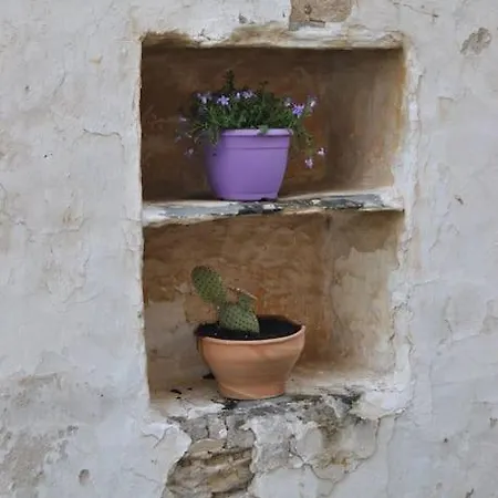 Renovated Old Traditional House *